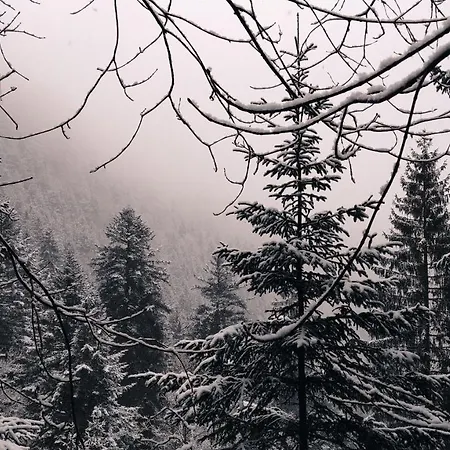 Wanderlust Panorama - Leben Im Nationalpark *