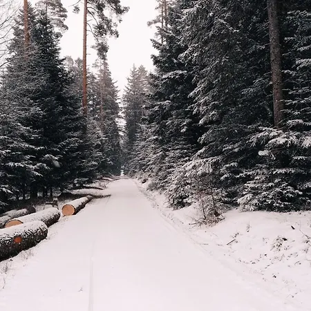 Wanderlust Panorama - Leben Im Nationalpark * Freudenstadt