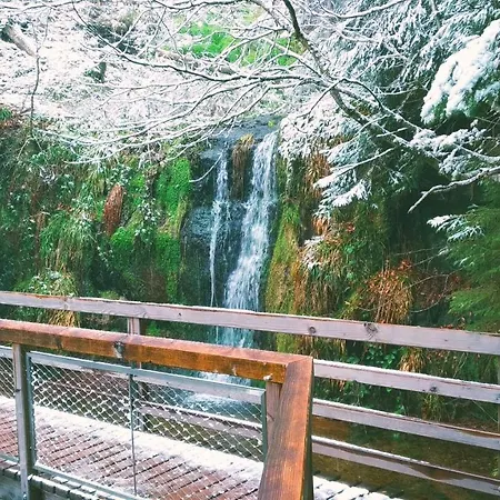 Apartamento Wanderlust Panorama - Leben Im Nationalpark Freudenstadt